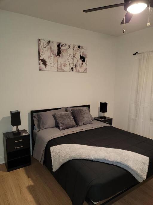 South Charlotte'S Cozy & Modern Apartman Kültér fotó