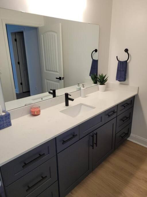 South Charlotte'S Cozy & Modern Apartman Kültér fotó