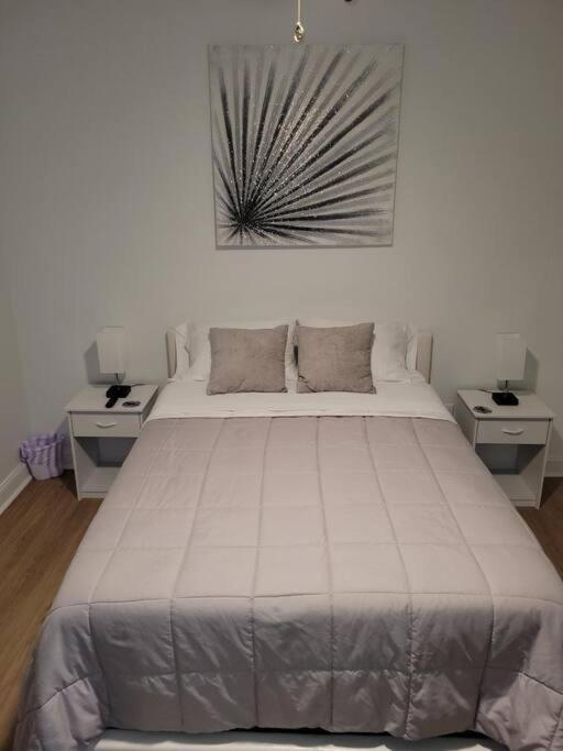 South Charlotte'S Cozy & Modern Apartman Kültér fotó
