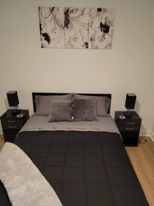 South Charlotte'S Cozy & Modern Apartman Kültér fotó